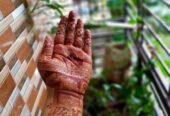 Organic Mehendi