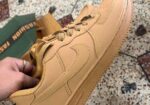 Nike Shoe Brand New