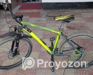 fitted-81_2025-07-29_14-47-23