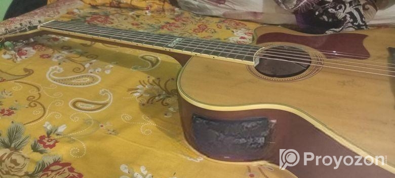 Guiter Sell Hobe