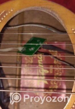 Guiter Sell Hobe