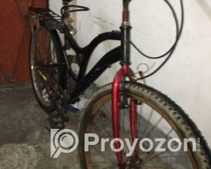 fitted-83_2025-07-29_14-48-47