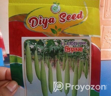 হাইব্রিড ধুন্দল বীজ