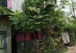 বাড়িসহ জমি বিক্রয়