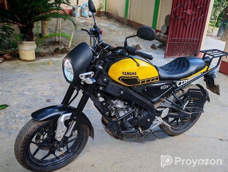 Yamaha XSR 155 . 2024