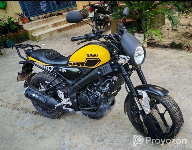 Yamaha XSR 155 . 2024