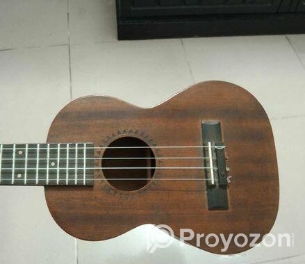 Guiter