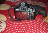Canon 1300 D