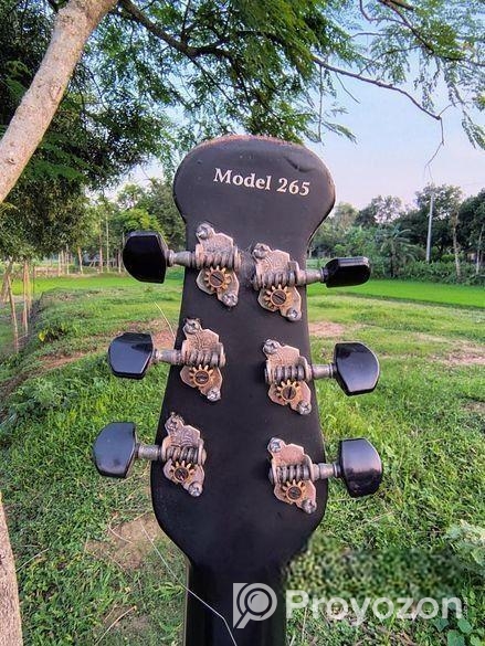 গিটারটি বিক্রি করা হবে