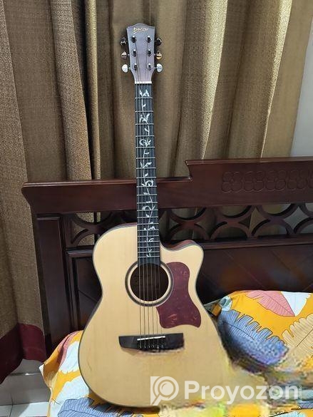 Deviser guitar
