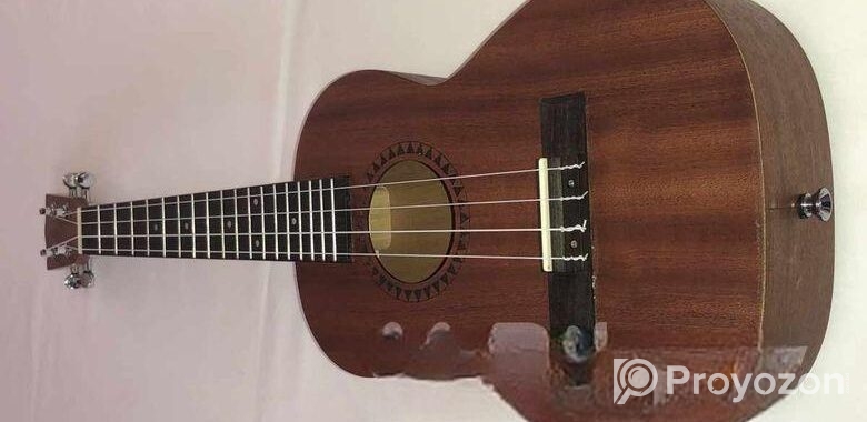 Guiter