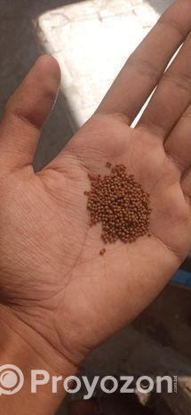 Aquarium Fish Foods 100g Highly Nutritional Food