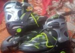 Skiting show Sell Post