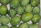 হিম সাগর আম