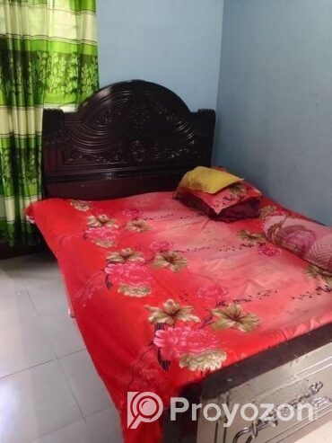 মালয়েশিয়ান উট খাট
