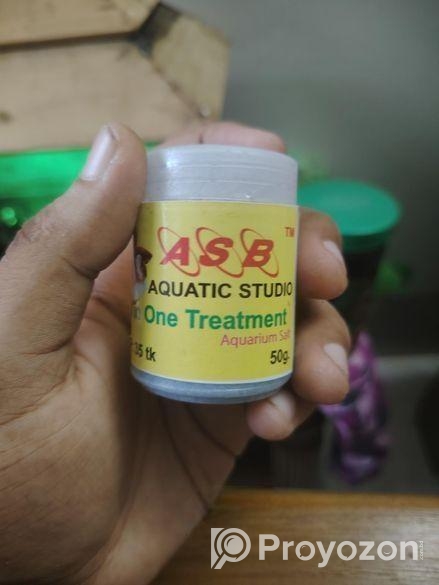 অ্যাকুরিয়াম