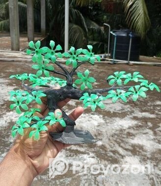 ফুল ফ্রেশ কন্ডিশনের একুরিয়াম