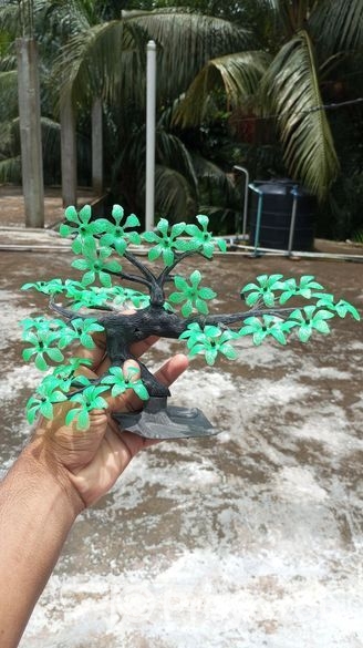 ফুল ফ্রেশ কন্ডিশনের একুরিয়াম