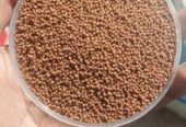 Aquarium Fish Foods 100g Highly Nutritional Food