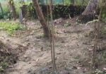 জমি বিক্রয় হবে