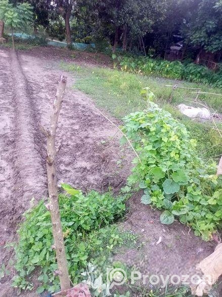 বাড়ি উপযোগী জমি বিক্রিয়