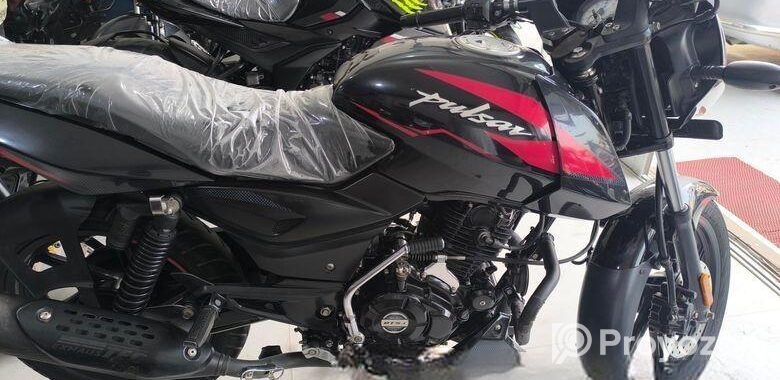Bajaj Pulsar 150 সিঙ্গেল ডিক্স 2023