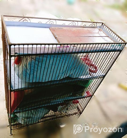 বই রাখার রেক