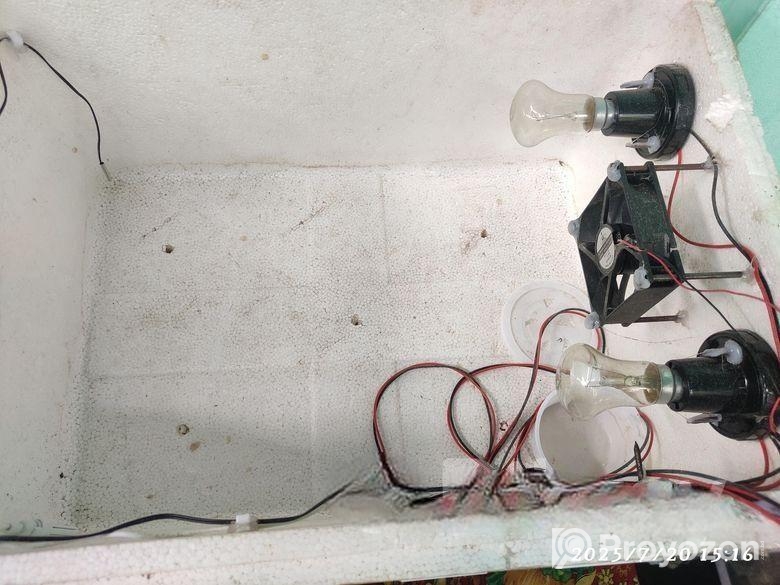 ইলেকট্রনিক্স অটো ইনকিউবেটর