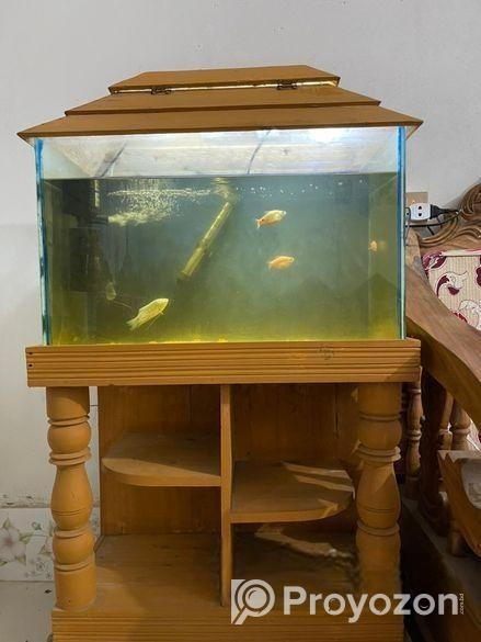 মাছের একুরিয়াম