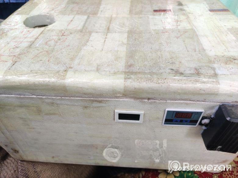 ইলেকট্রনিক্স অটো ইনকিউবেটর