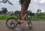 Bicycle For Sale