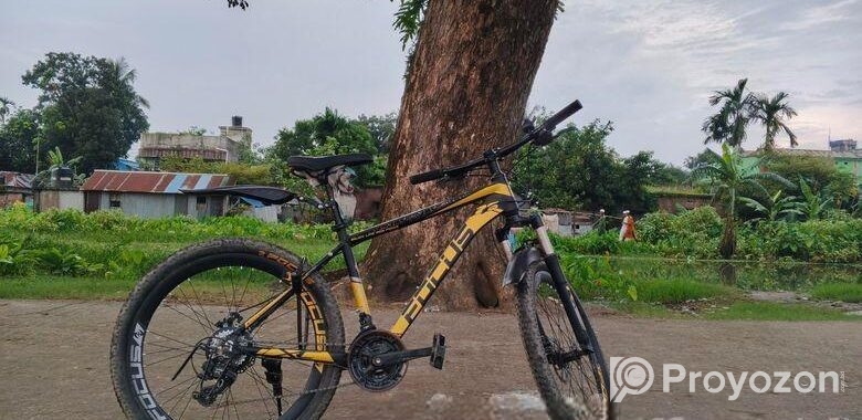 Bicycle For Sale
