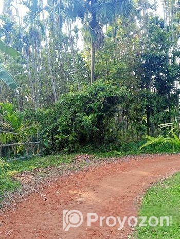 বসবাস যোগ্য বাগান বাড়ি বিক্রি