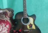 Signature Guitar