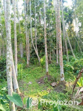 বসবাস যোগ্য বাগান বাড়ি বিক্রি