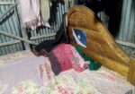 খাটটি অনেক ভালো