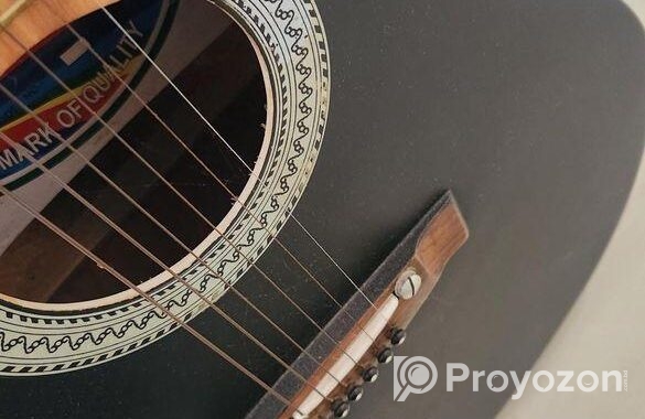 Givsum Brand Guitar