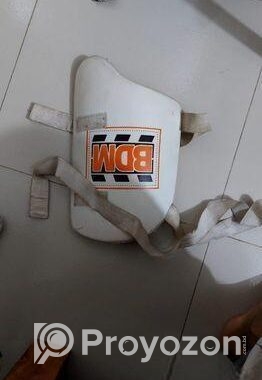 Cricket kit