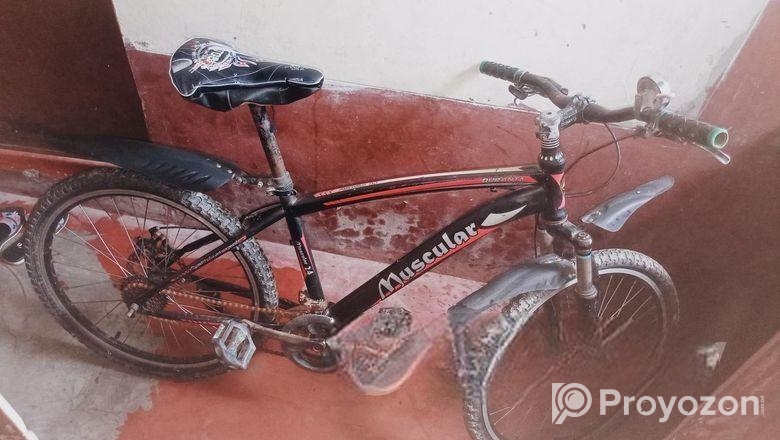 রানিং সাইকেল