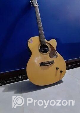 Acoustic Guitar