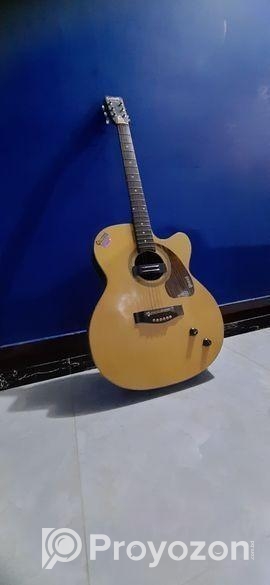 Acoustic Guitar