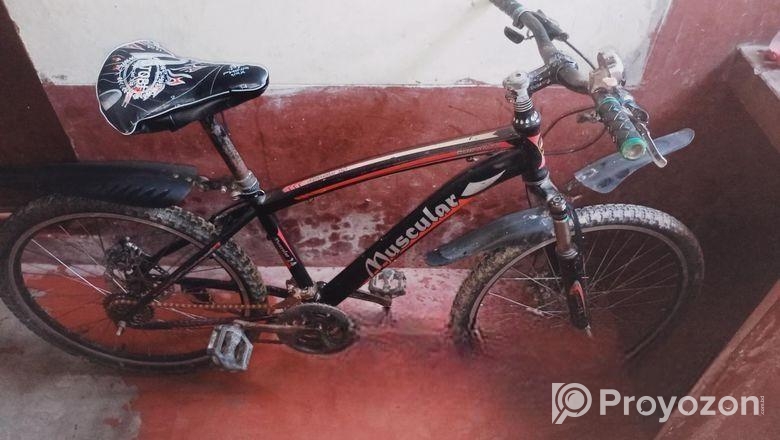 রানিং সাইকেল