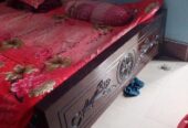 মালয়েশিয়ান উট খাট
