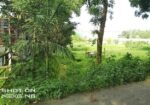 মেন রাস্তার পাশে জমি সেল করবো