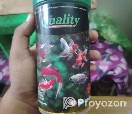 অ্যাকুরিয়াম