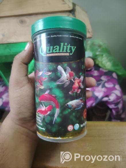 অ্যাকুরিয়াম