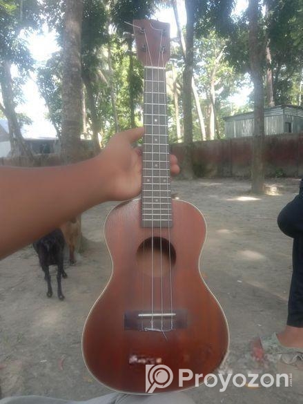 Ukulele Sell Post