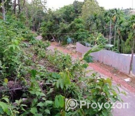 মনোরম উঁচু টিলা জমি বিক্রয়