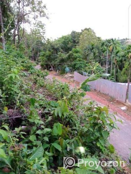 মনোরম উঁচু টিলা জমি বিক্রয়