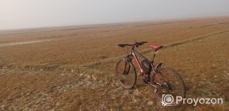 Bicycle for sell